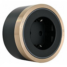 Розетка с заземлением на треке arte milano am-track-sockets 380066ts led-es gold